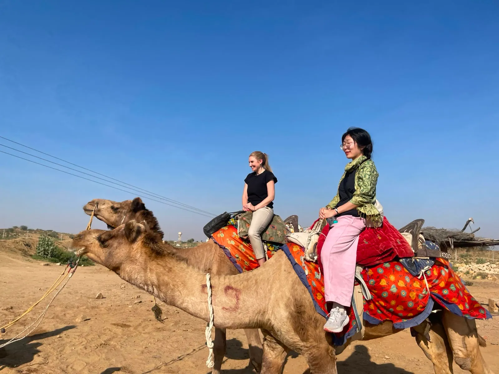 1 Night 2 Days Jaisalmer Tour — photo 1